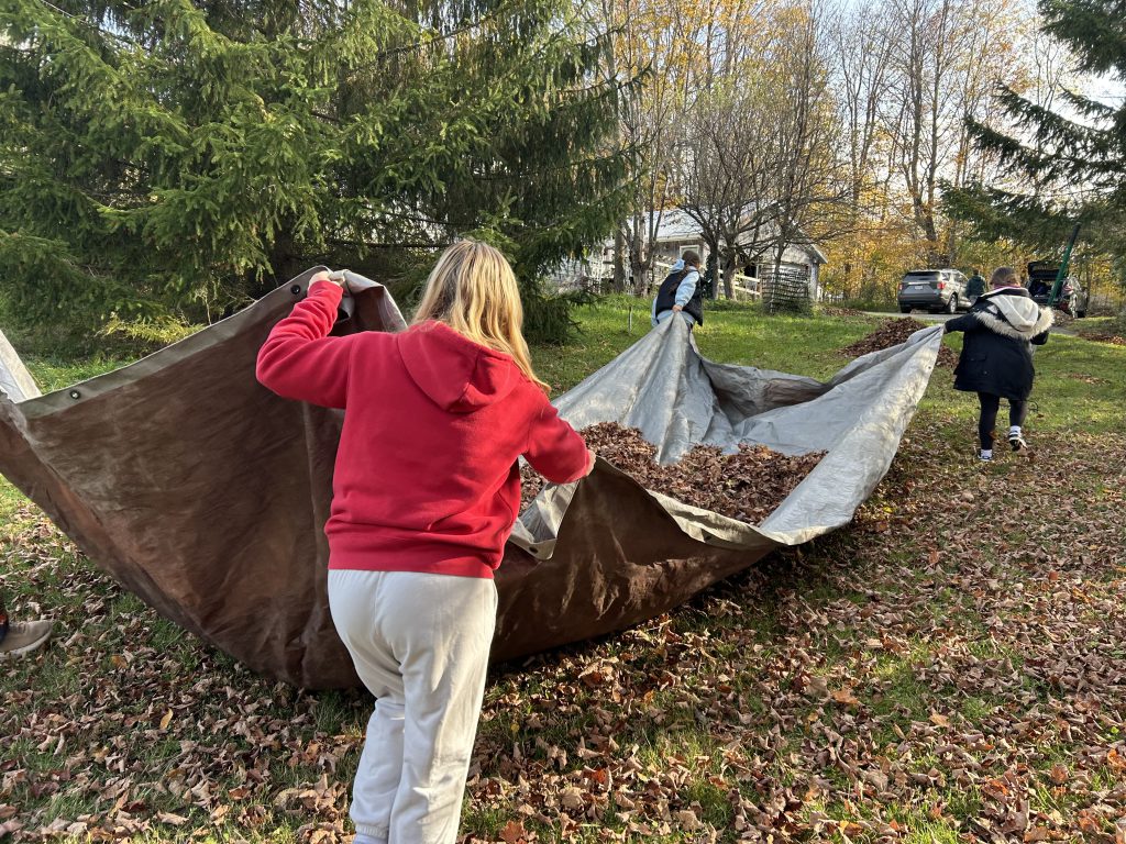 three students carrying a big brown tarp filled with leaves